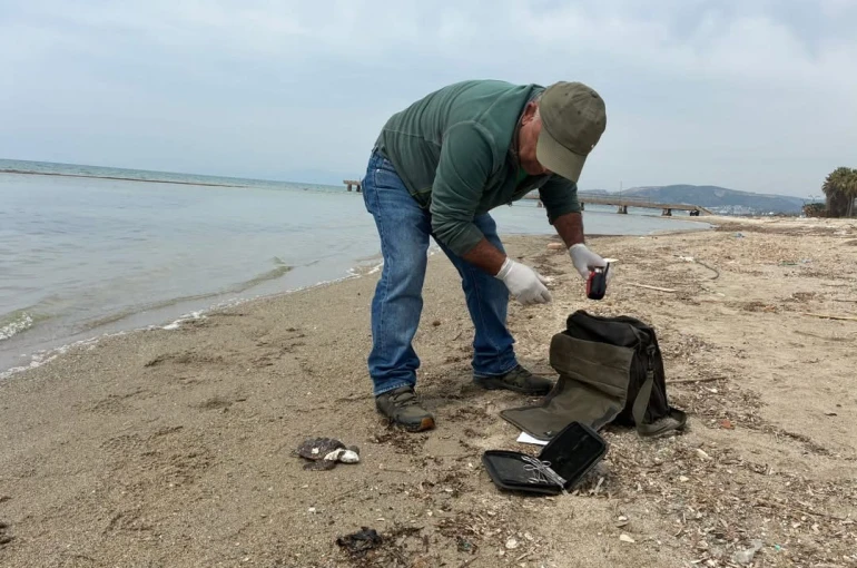 Kuşadası’nda iki deniz kaplumbağası ölü bulundu 