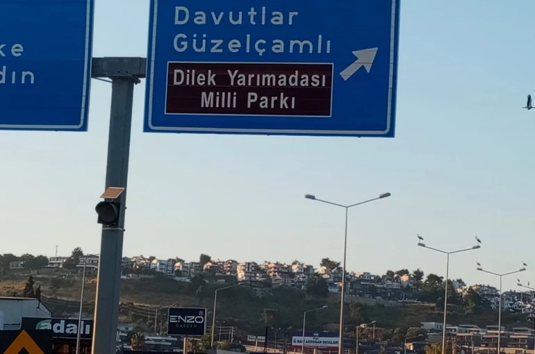 Kuşadası’nda leylekler geri döndü 