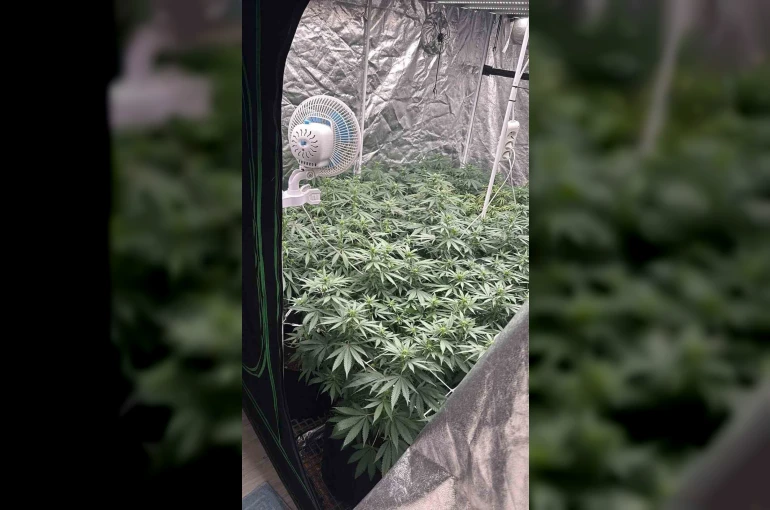 Kuşadası’nda uyuşturucu operasyonu 