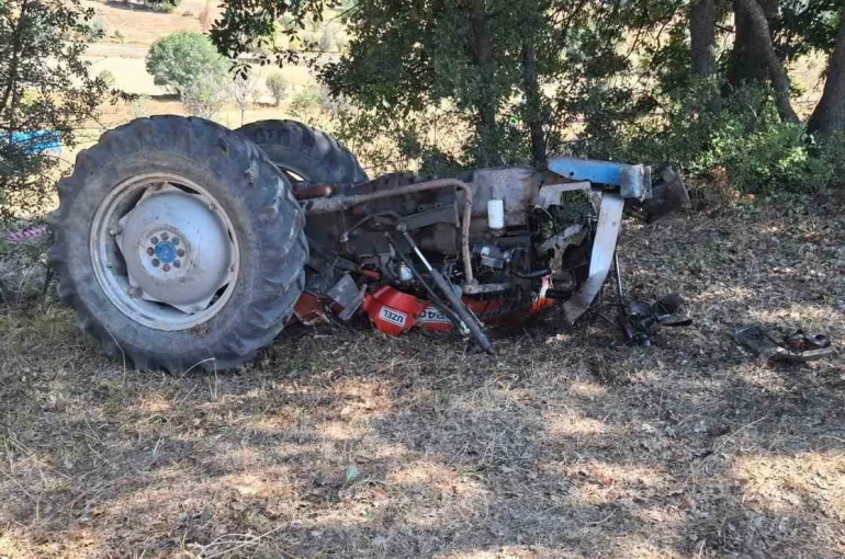 Kuşburnu toplamaya gitti, dönüşte canından oldu