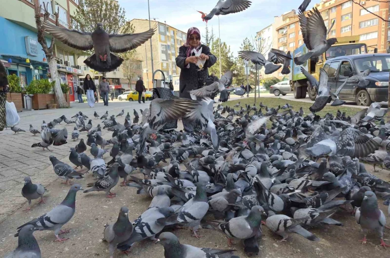 Kuşlara yem dağıtan yaşlı kadın onlarca güvercinin arasında kaldı 