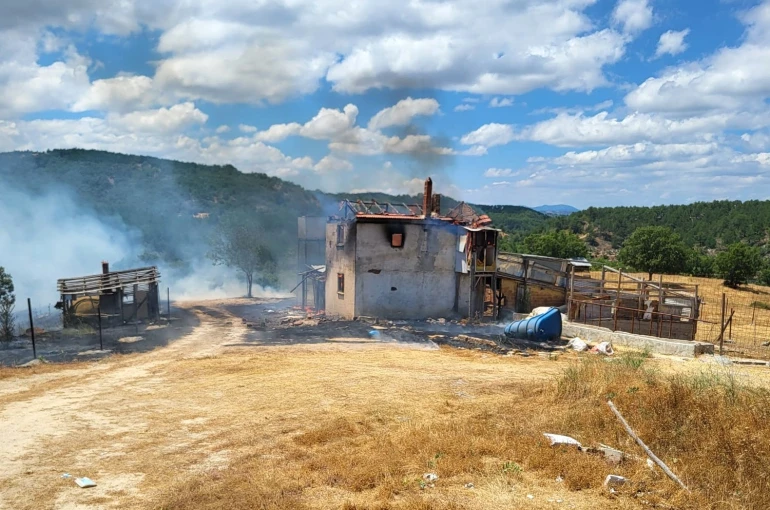 Kütahya’da ev yangını ormana sıçradı, 3 hektar alan zarar gördü
