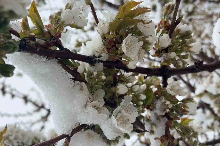Kütahya’da Mayıs ayında kar sürprizi 