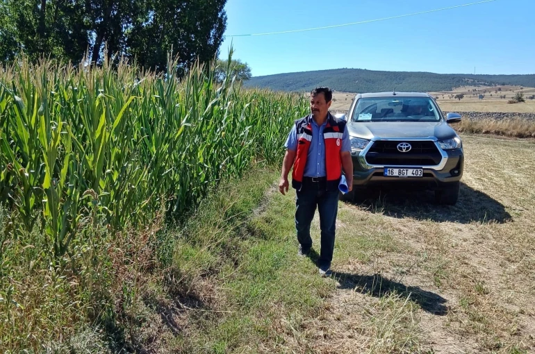 Kütahya’da silajlık mısır kontrolleri 