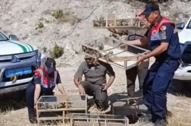 Kütahya’da yakalanan 142 saka kuşu doğaya salındı 