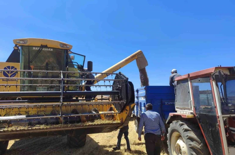 Kütahya’da yerli ve milli tohumlarda nohut hasadı gerçekleştirildi