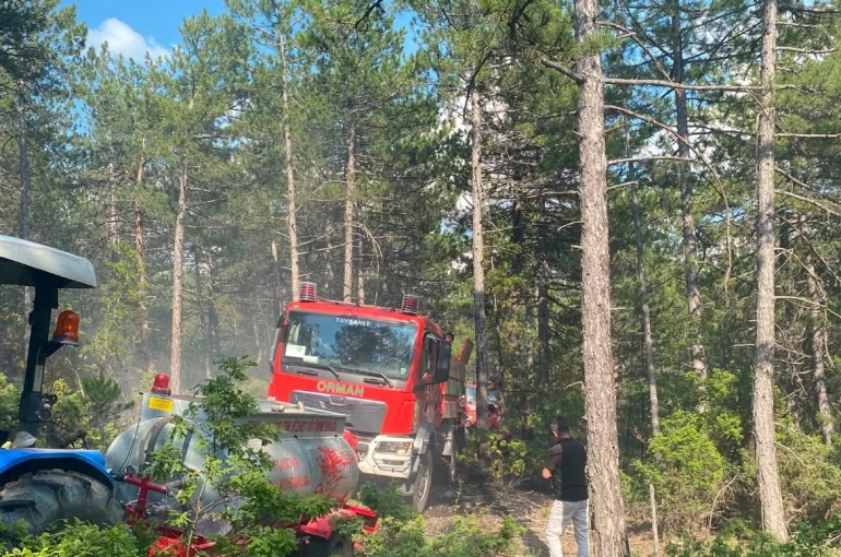 Kütahya’da yıldırım orman yangınına neden oldu