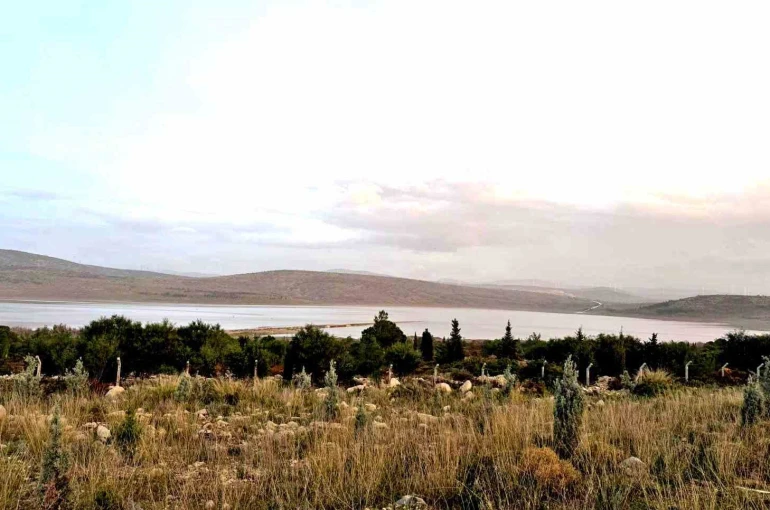 Kutlu Aktaş Barajı’nda sevindirici yükseliş: Su seviyesi yüzde 0,01’den yüzde 15,50’ye çıktı 