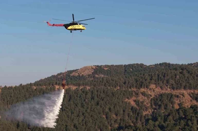 Kuyucak’taki orman yangınında 20 saat geride kaldı 