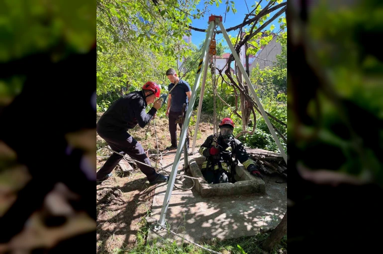 Kuyuya düşen yavru kedi itfaiye ekiplerince kurtarıldı 