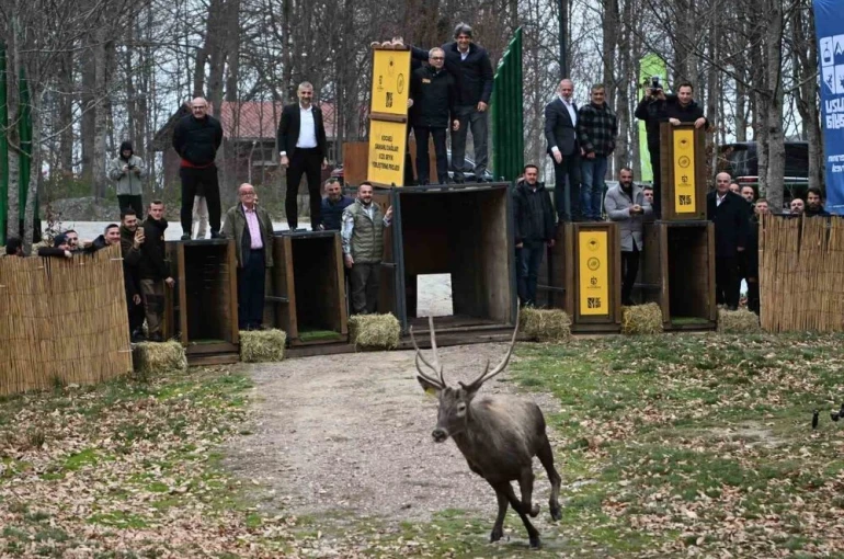 Kuzuyayla’nın GPS’li geyikleri 