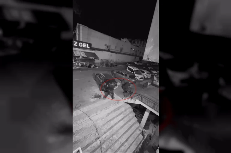 Lastik ve kriko hırsızlığı kameraya yansıdı