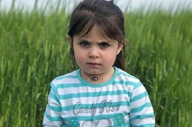 Leyla Aydemir davasında annenin beyanlarının ardından gözler yarınki duruşmada 