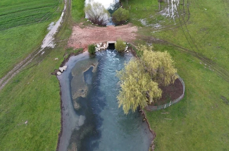 Leyleklerin durağı yemyeşil görüntüsüyle mest ediyor