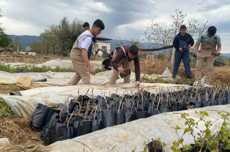 Liselilerden bölge tarımına büyük katkı 