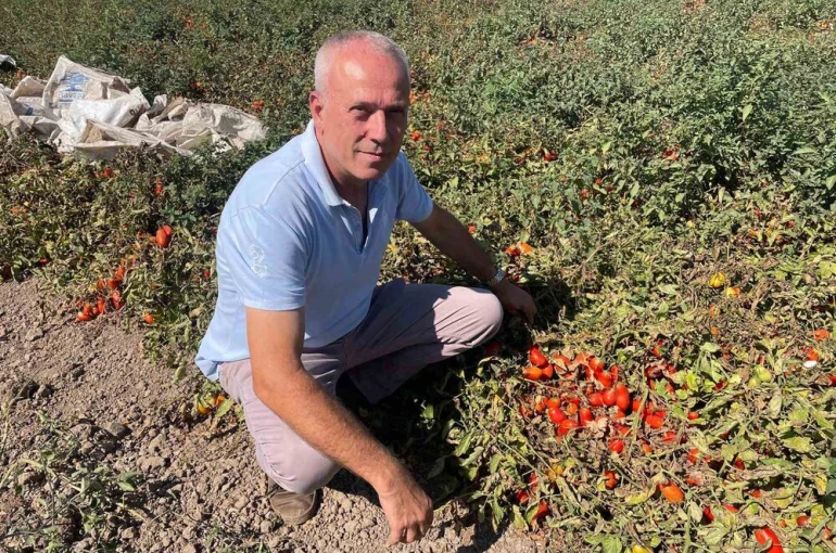 Londra’da kazandıklarıyla memleketine toprak yatırımı yaptı 