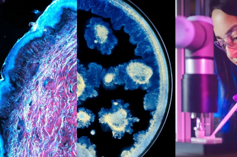 L’Oréal ve Institut Pasteur’den cilt sağlığı biliminde iş birliği 