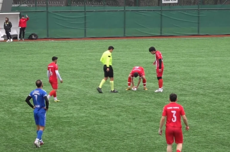 Maç esnasında top çarpan martı, kalp masajıyla hayata döndü 