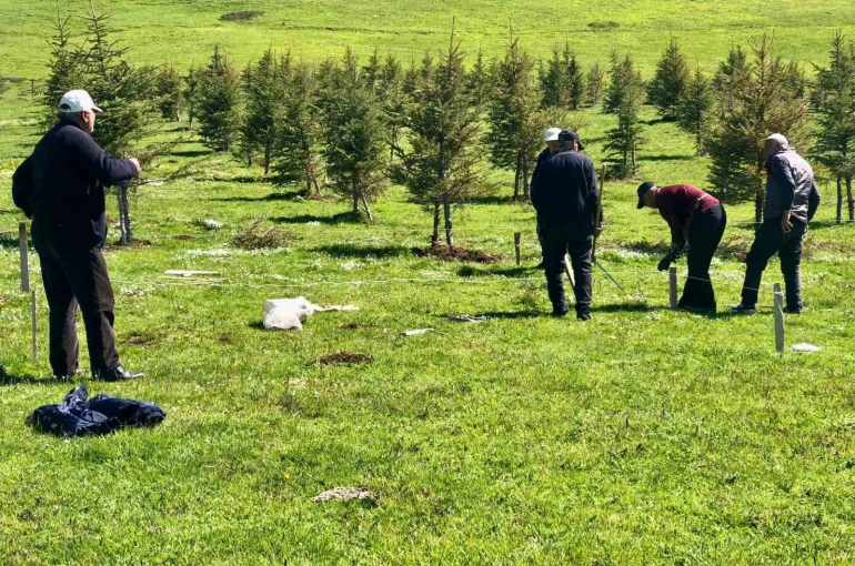 Mahalle halkı imece usulü gölet yaptı