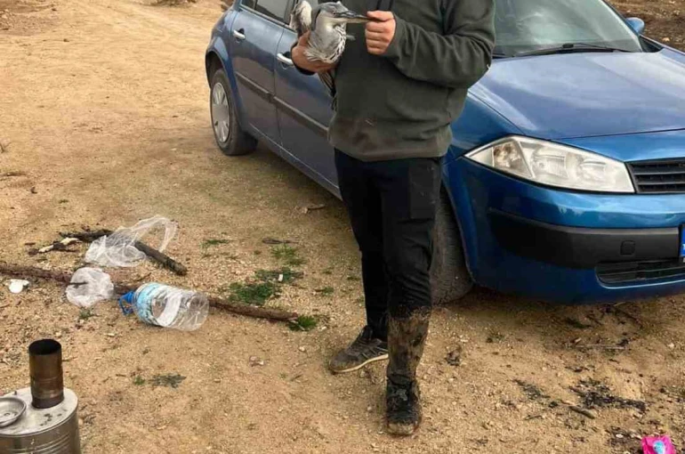 Mahsur kalan mavi balıkçıl kuşunu doğa gezisine çıkan gençler kurtardı