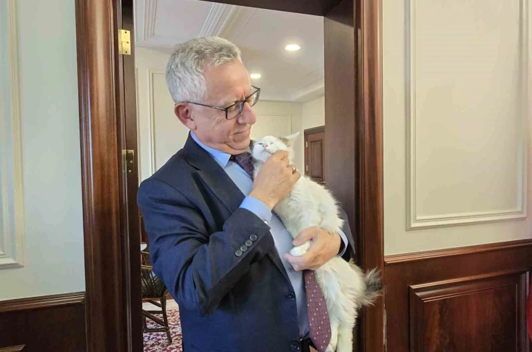 Makamında kedi besleyen Başkan Arslan, hayvan dostu projeleriyle de örnek oluyor 