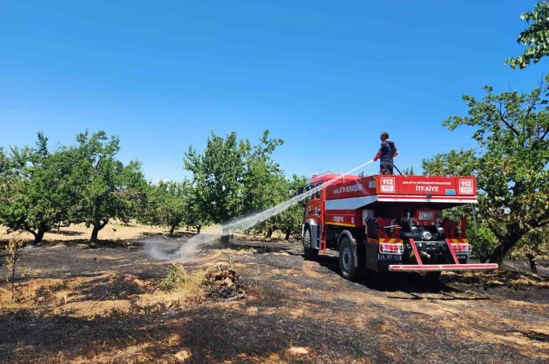 Malatya’da bahçe ve orman yangını 
