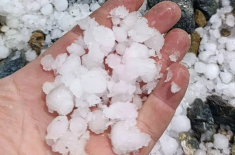 Malatya’da dolu kayısı bahçelerine zarar verdi 