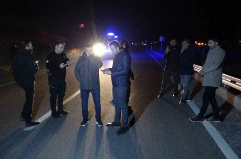 Malatya’da kaçan yarış atları karayoluna çıktı: 6 at telef oldu, 2 kişi yaralandı 