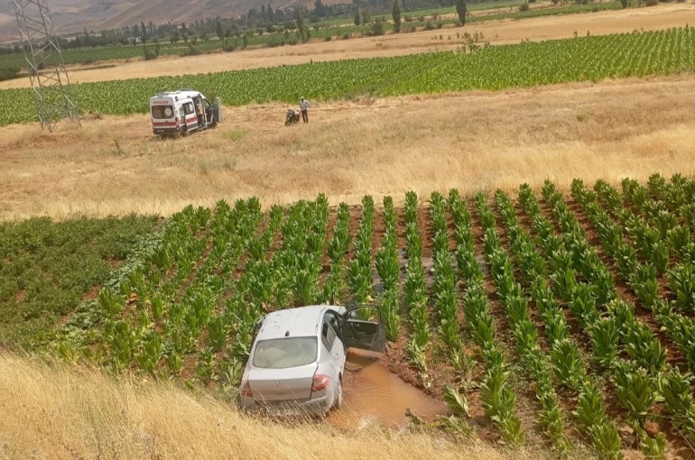 Malatya’da otomobil tütün tarlasına düştü: 3 yaralı 