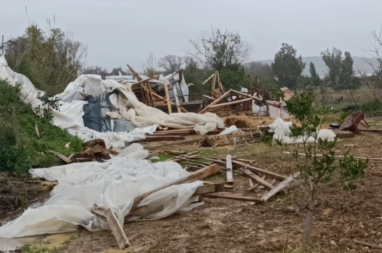 Manavgat’ta hortum 300 dönümlük alanda seraları yerle bir etti
