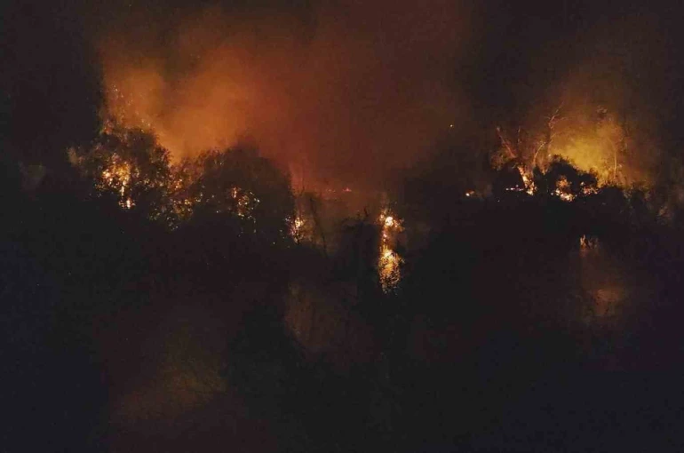 Manavgat’ta ırmak kenarındaki yangın korkuttu