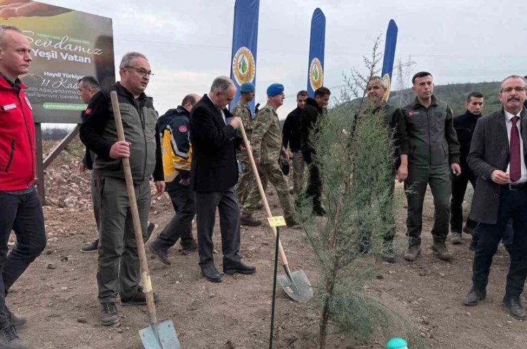 Manisa’da 2025 sonuna kadar 3,1 milyon fidan toprakla buluşacak 