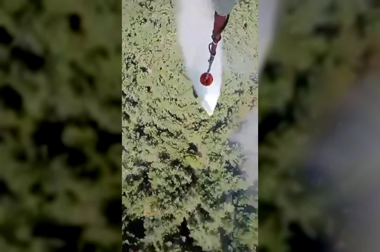 Manisa’daki orman yangını kontrol altına alındı 
