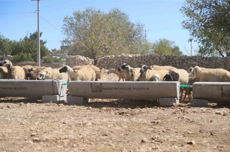 Mardin Büyükşehir Belediyesi 5 ilçede 330 adet sıvat dağıttı