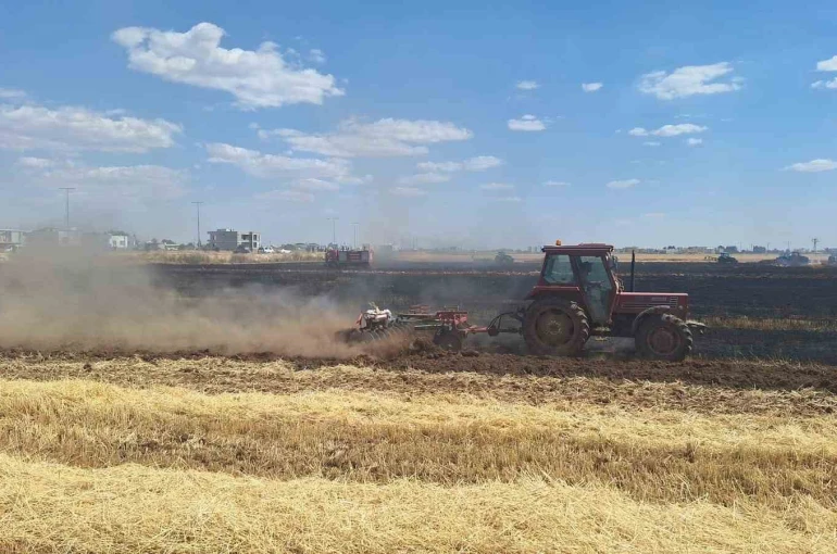 Mardin’de 80 dönüm buğday ekili alan küle döndü 