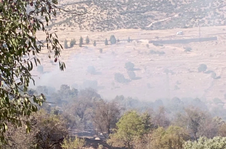 Mardin’de çıkan orman yangını söndürüldü