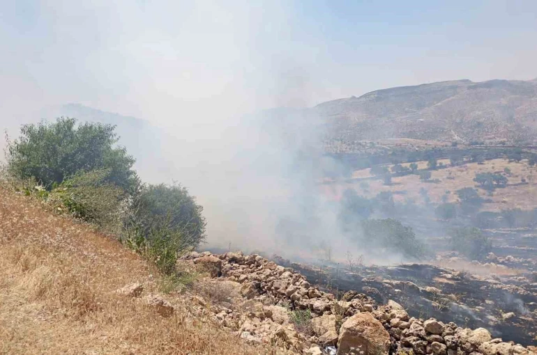 Mardin’de ormanlık alanda çıkan yangına müdahale ediliyor 