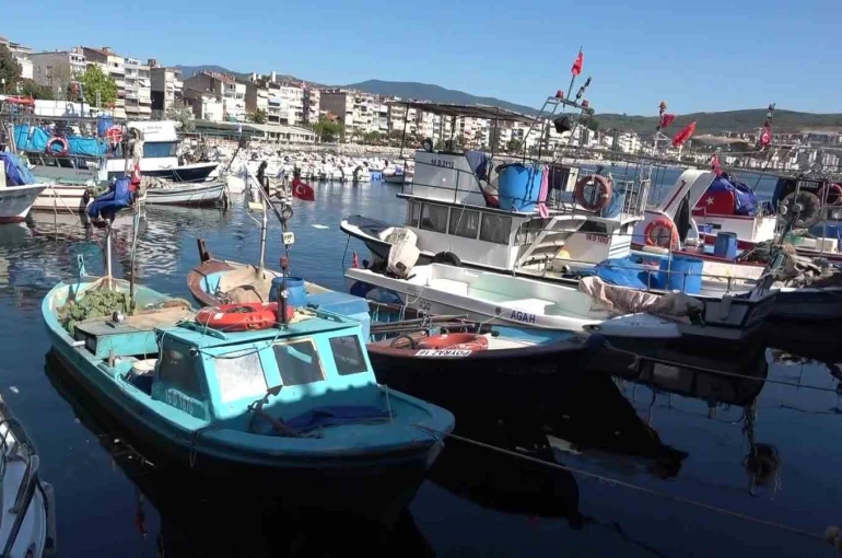 Marmara’nın emektar balıkçıları, müsilaj ve bilinçsiz avlanmadan şikayetçi