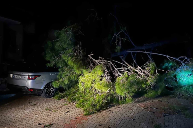 Marmaris’te fırtına ağaç devirdi: 1 kişi yaralandı 