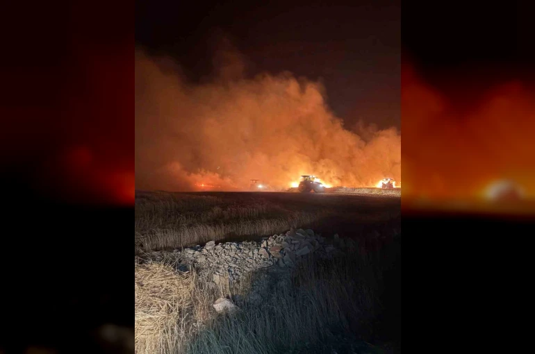 Mazıdağı’nda dün gece çıkan yangında ekili araziler zarar gördü 
