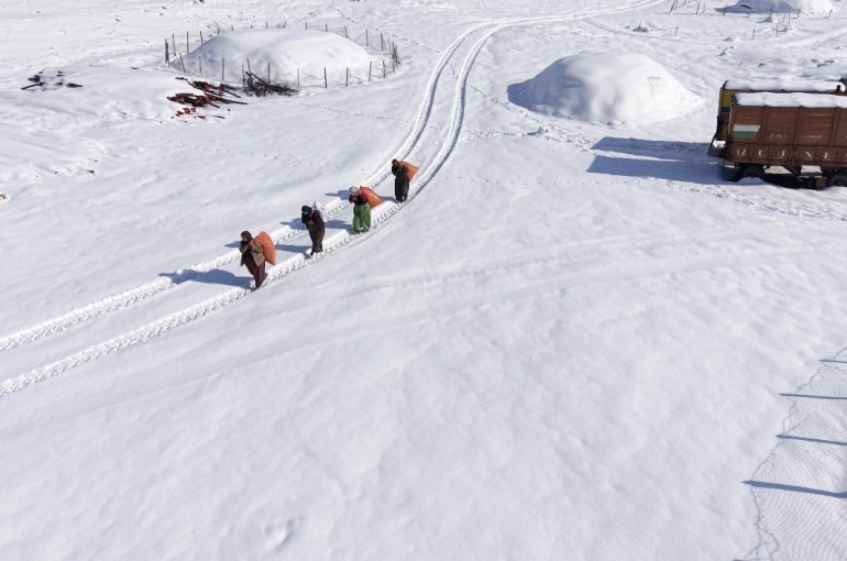 Mazıdağı’nın karlı yollarında zorlu mesai: Kadınlar sırtlarında saman taşıyarak kışa meydan okuyor