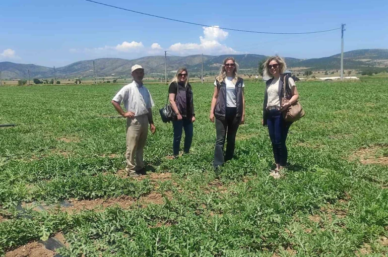 Medetli karpuzu iyi tarımla geleceğe taşınıyor 