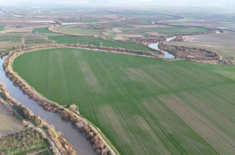 Menderes Nehri suya kavuştu