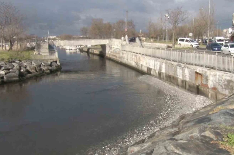 Menekşe sahilinde sular çekildi, tekneler geçişlerde zorluk yaşadı 