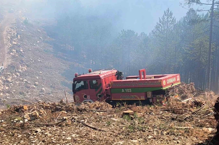 Menteşe Yılanlı yangını kontrol altına alındı