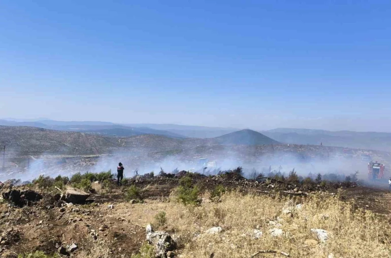 Menteşe’de makilik yangını