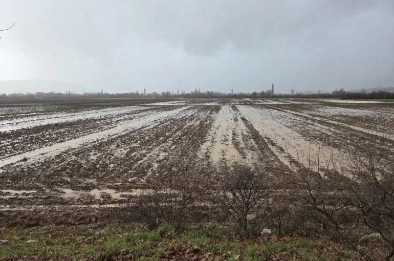 Menteşe’de tarım arazileri için ekipler sahaya indi