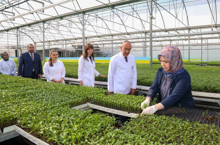 Meram Belediyesinin Konya çiftçisine büyük desteği, Konya Fide’de yeni sezon satışları başladı 