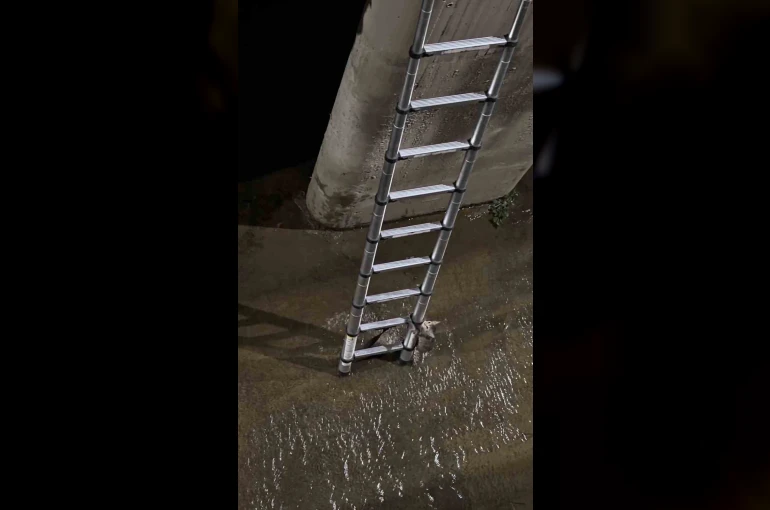 Merdiveni gördü, kendi kendini kurtardı