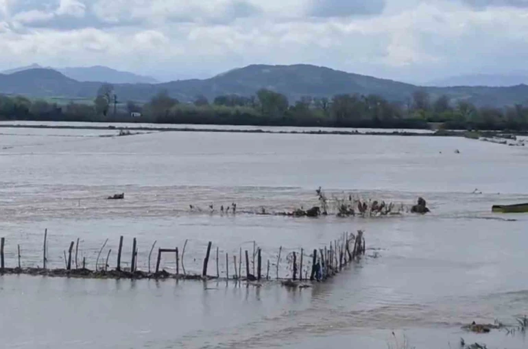 Meriç Nehri taştı, sular yollara ulaştı 